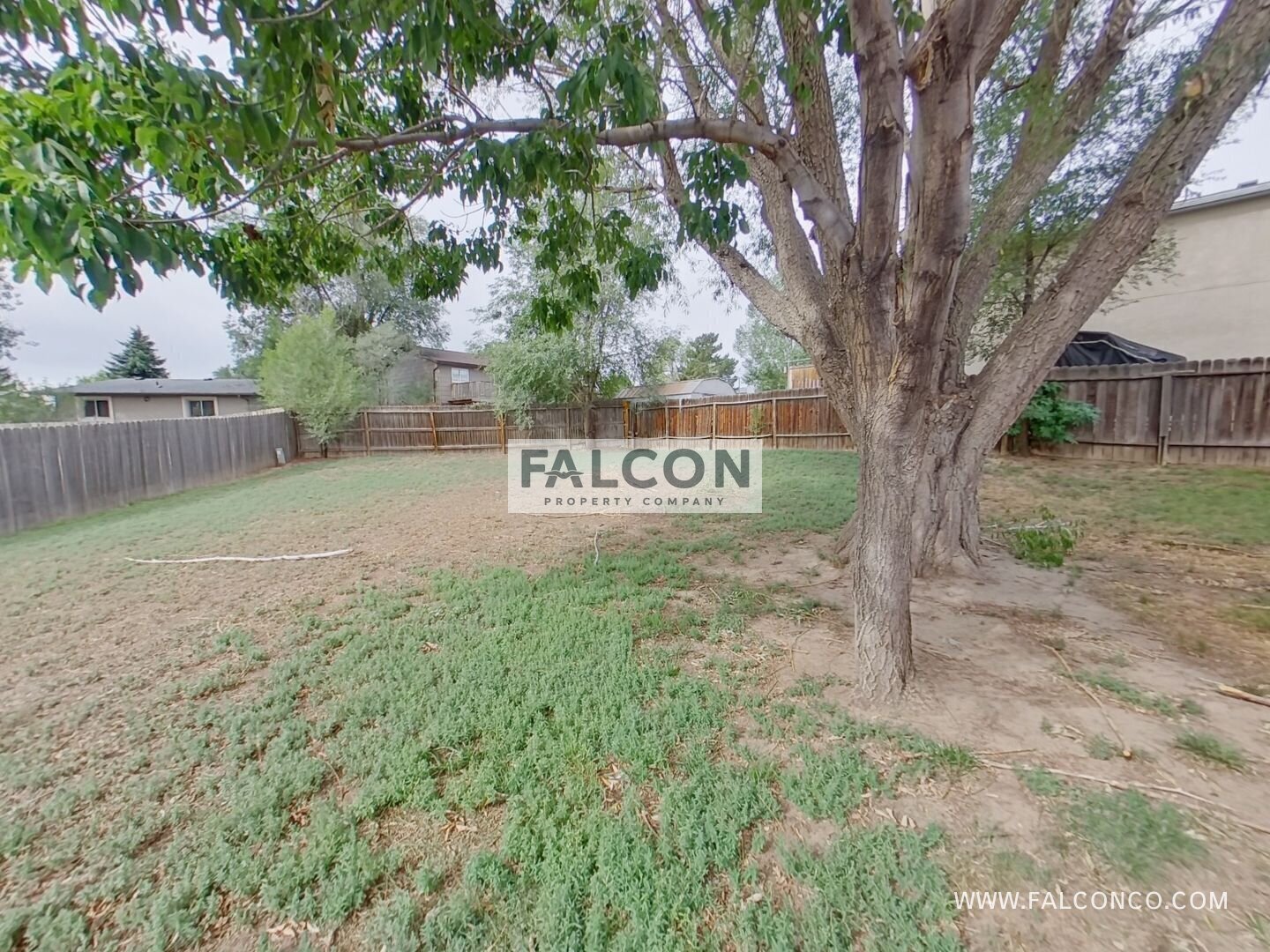 Adorable Cimarron Hills Ranch Home! property image